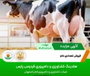 فروش تعدادی دام ( مهر 1404 )