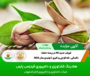 آگهی مزایده فروش حدود 40 تن پسته خشك ( فندقی ، کله قوچی و اکبری ) توليدی سال 1404 ( آذر 1404 )