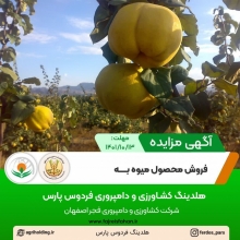 آگهی مزایده فروش محصول میوه "به" بزرگ ترین باغ "به" کشور ( دی ماه 1401 )