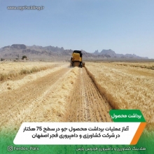 آغاز عملیات برداشت محصول جو در سطح ۷۵هکتار  اراضی واحد مهیار شهرضا  ( خرداد 1402 )