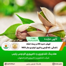 آگهی مزایده فروش حدود 80 تن پسته خشك ( فندقی ، کله قوچی و اکبری ) توليدی سال 1403 ( آذر 1403)